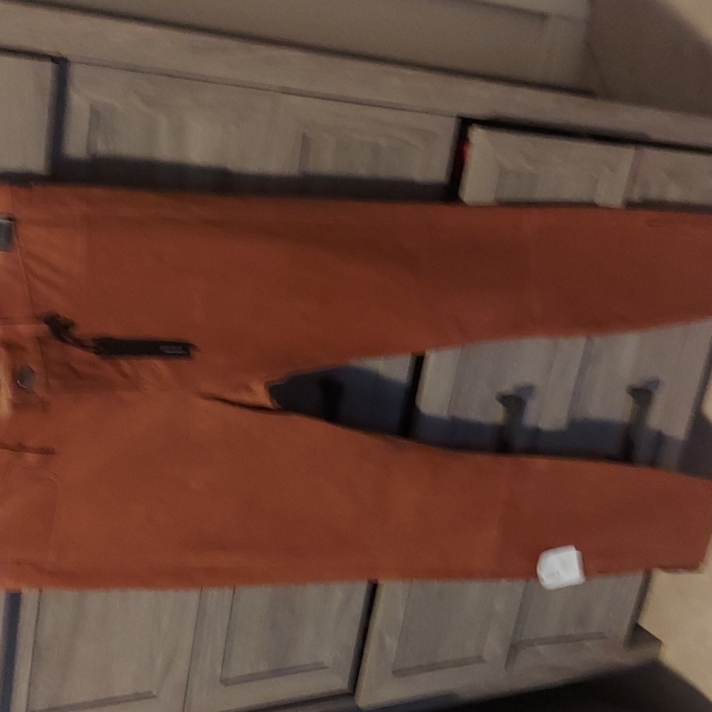 Brand new J Brand genuine leather pants